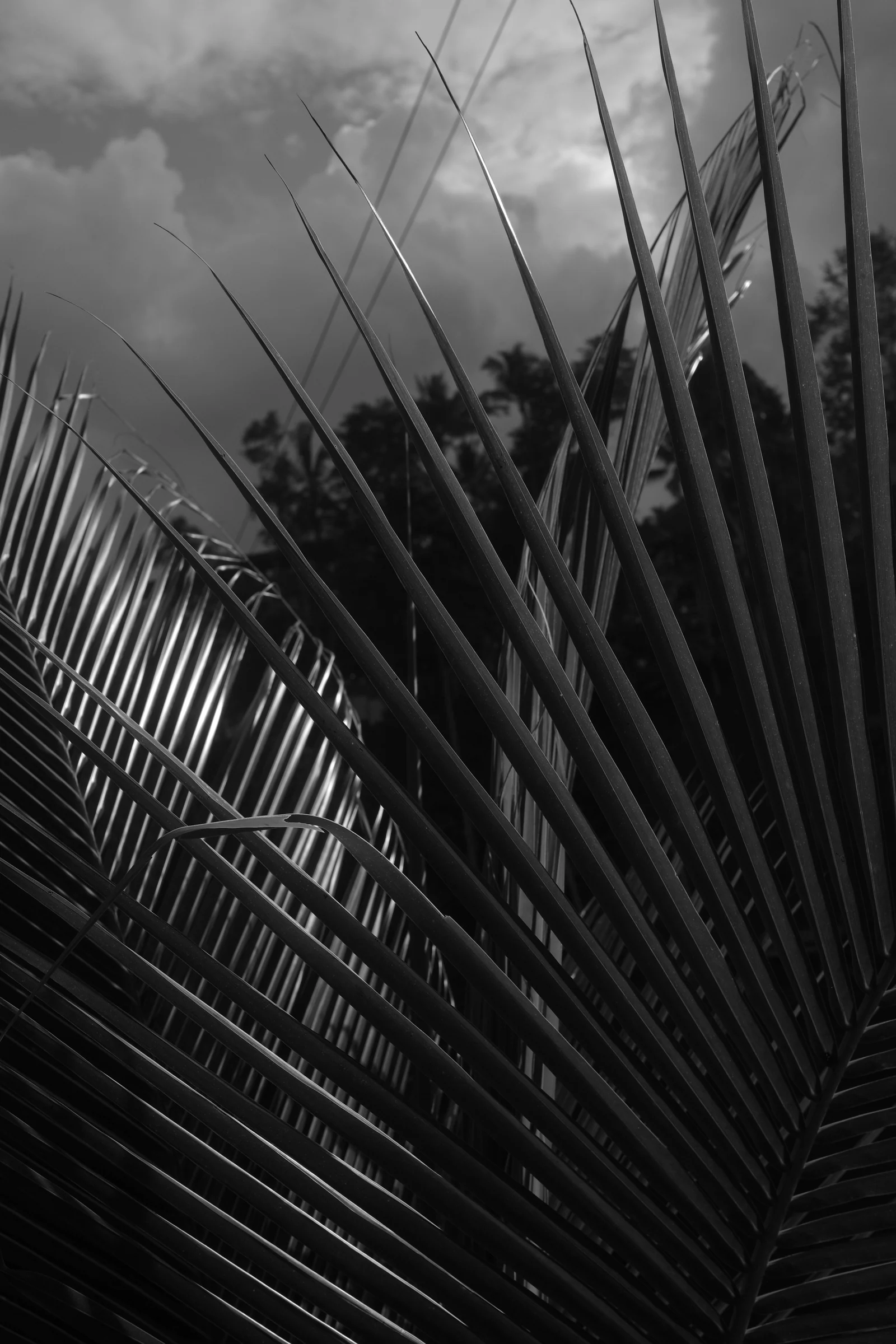 Work 60 by Nicolas Hendrickx