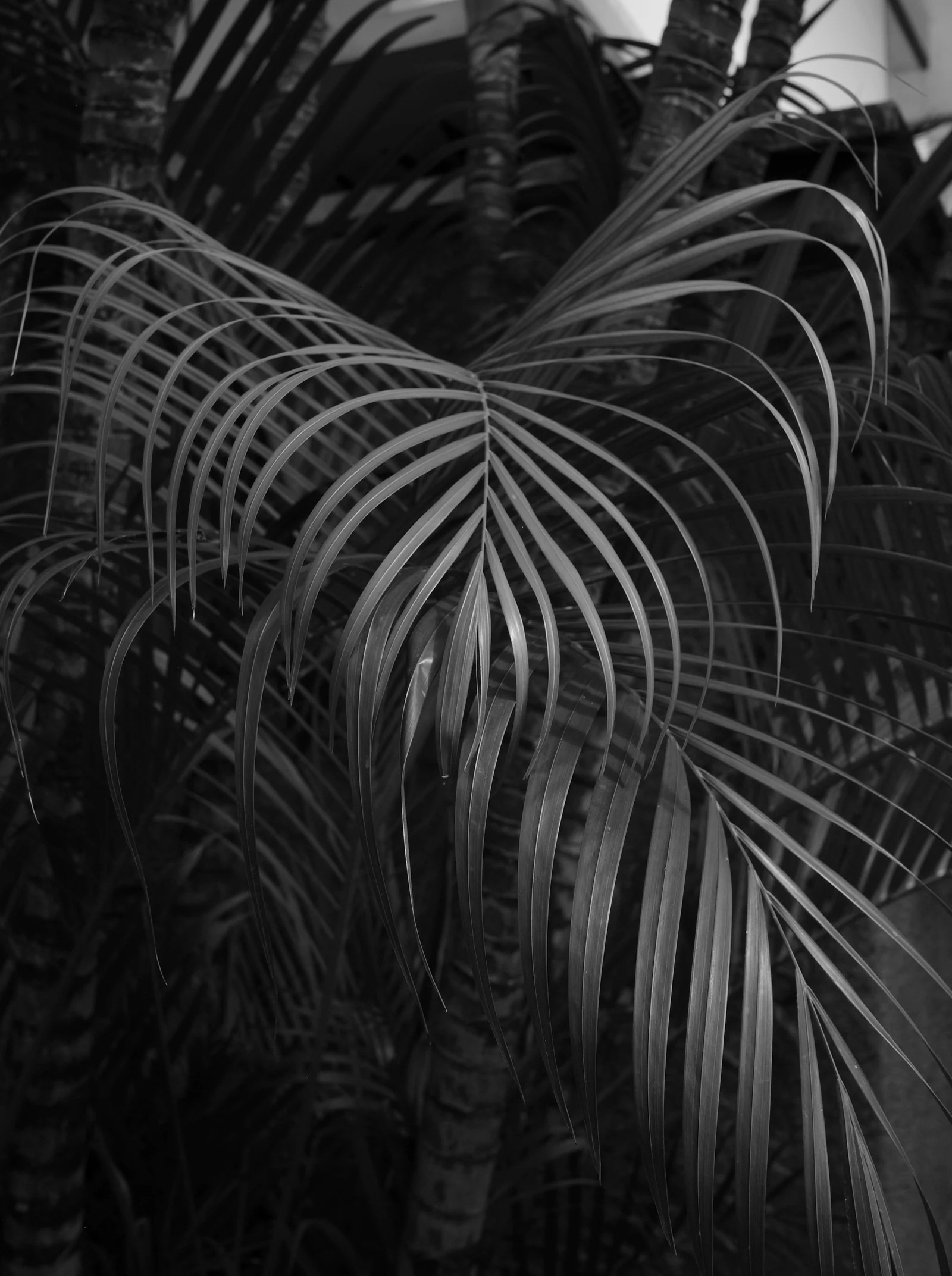 Work 61 by Nicolas Hendrickx